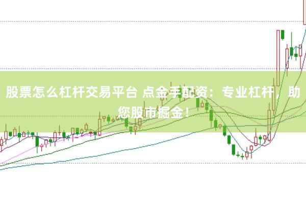 股票怎么杠杆交易平台 点金手配资：专业杠杆，助您股市掘金！