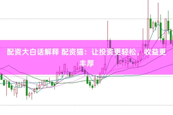 配资大白话解释 配资猫：让投资更轻松，收益更丰厚