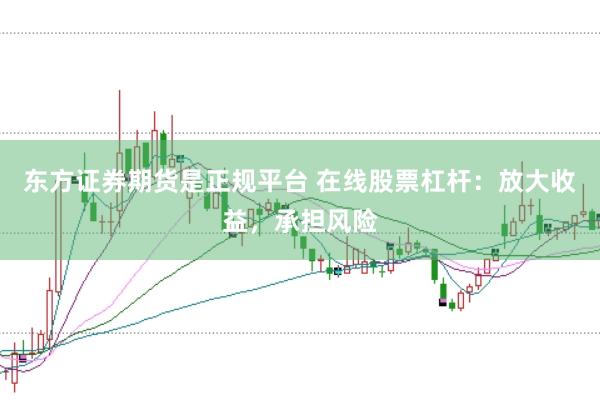 东方证券期货是正规平台 在线股票杠杆：放大收益，承担风险
