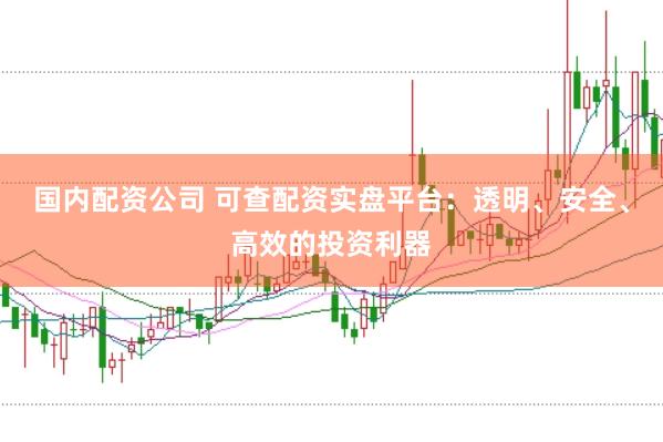 国内配资公司 可查配资实盘平台：透明、安全、高效的投资利器