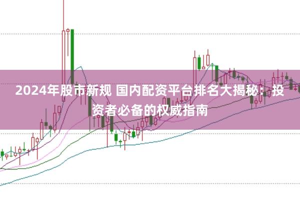 2024年股市新规 国内配资平台排名大揭秘：投资者必备的权威指南