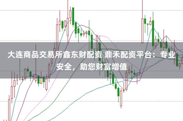 大连商品交易所鑫东财配资 鼎禾配资平台：专业安全，助您财富增值