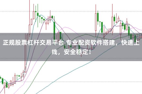 正规股票杠杆交易平台 专业配资软件搭建，快速上线，安全稳定！