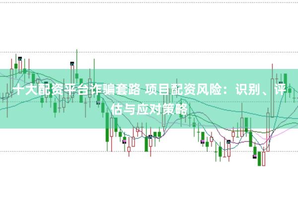 十大配资平台诈骗套路 项目配资风险：识别、评估与应对策略