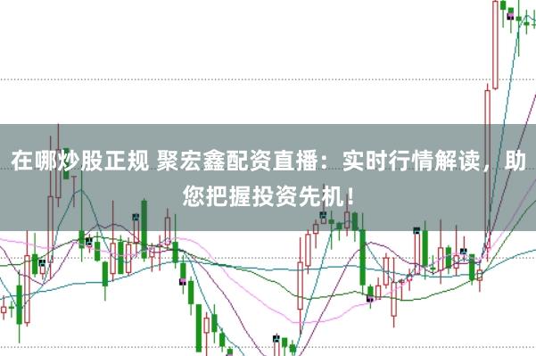 在哪炒股正规 聚宏鑫配资直播：实时行情解读，助您把握投资先机！
