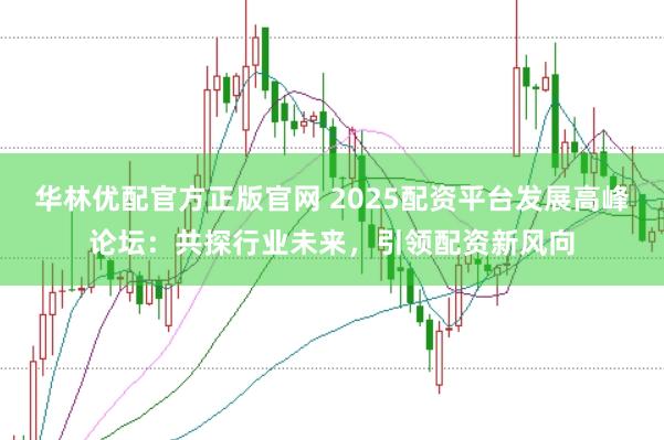 华林优配官方正版官网 2025配资平台发展高峰论坛:共探行业未来,引领配资新风向