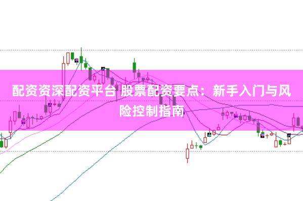 配资资深配资平台 股票配资要点：新手入门与风险控制指南
