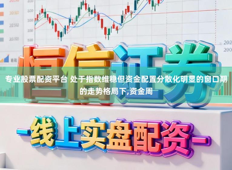 专业股票配资平台 处于指数维稳但资金配置分散化明显的窗口期的走势格局下，资金周