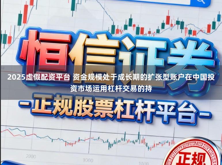 2025虚假配资平台 资金规模处于成长期的扩张型账户在中国投资市场运用杠杆交易的持