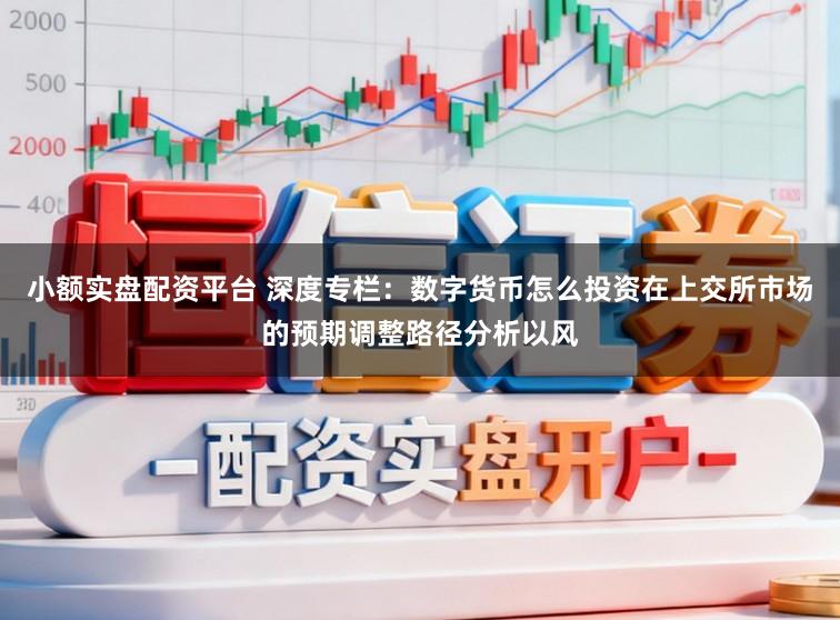 小额实盘配资平台 深度专栏：数字货币怎么投资在上交所市场的预期调整路径分析以风