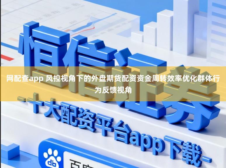 网配查app 风控视角下的外盘期货配资资金周转效率优化群体行为反馈视角